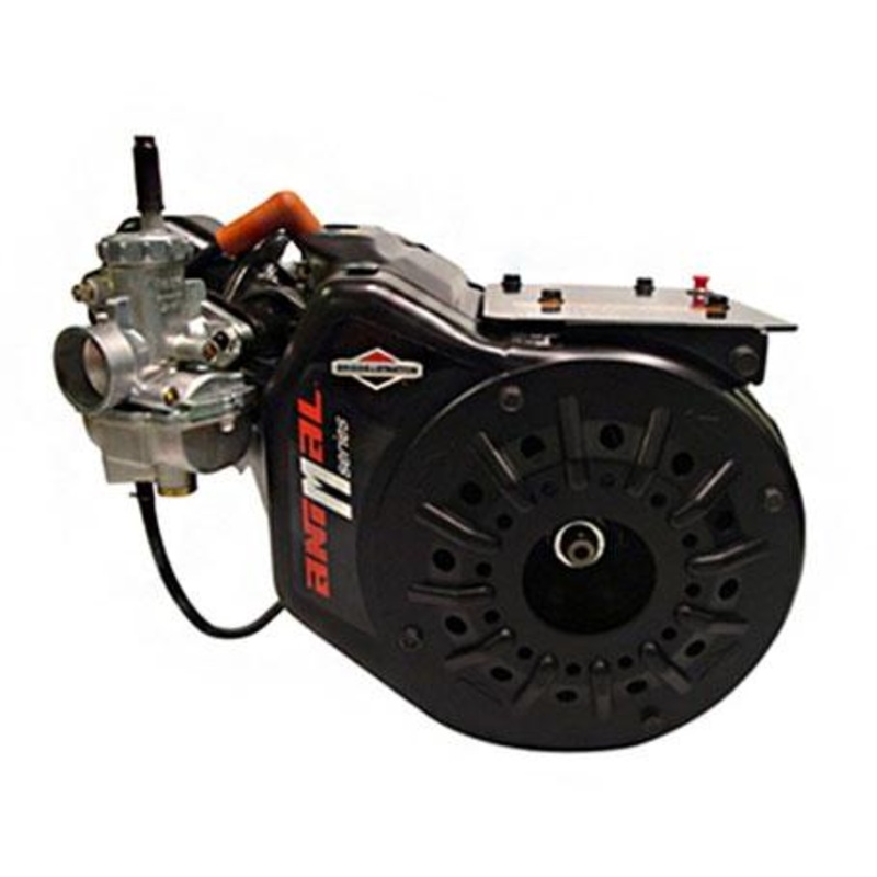 Briggs M Series Engine for Quarter Midgets