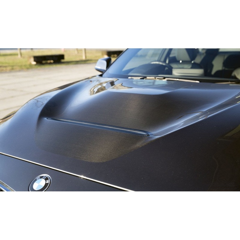 Alpha N BMW F87 M2 Carbon Fiber GTS Hood