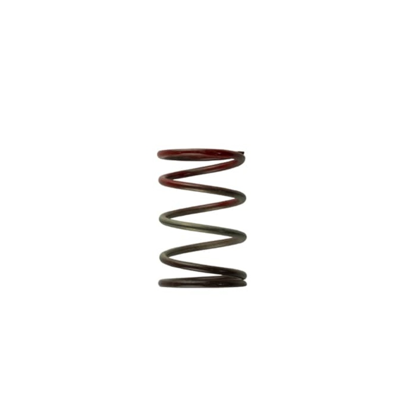 Turbosmart 2011 WG38/40/45 11PSI Middle Spring Brown/Red