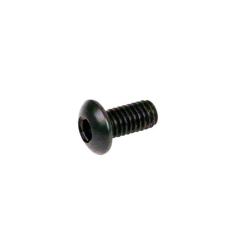 (123) IA-00257-K IAME X30 M5x10 Button Head Bolt for Counterbalance Bearing