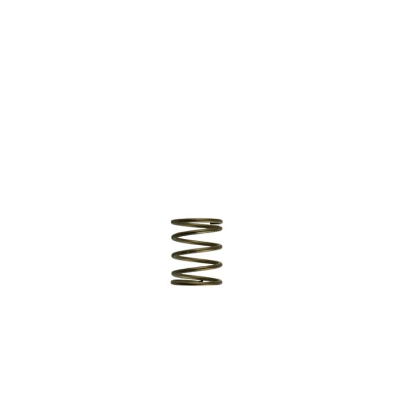 Turbosmart WG45/50 Gen-V 3psi Inner spring – Orange