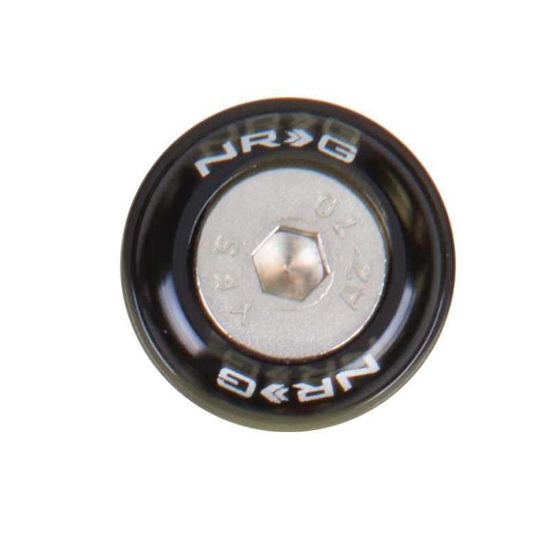 NRG Fender Washer Kit w/Rivets For Metal – Set of 10 (FW-110)
