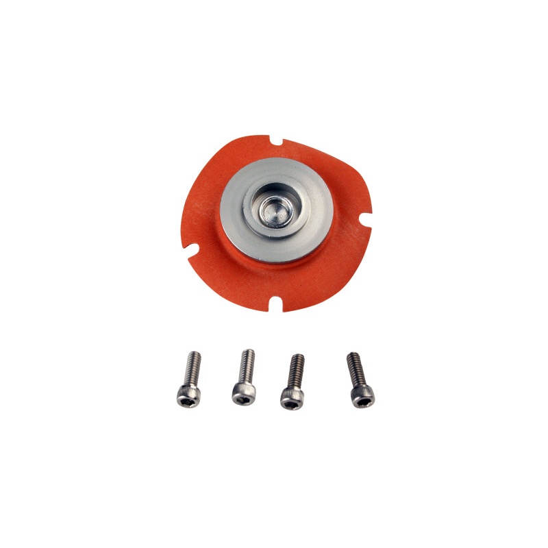 Aeromotive Regulator Repair Kit (for 13202/13113/13209/13214/13212)